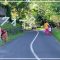 ecowalk
